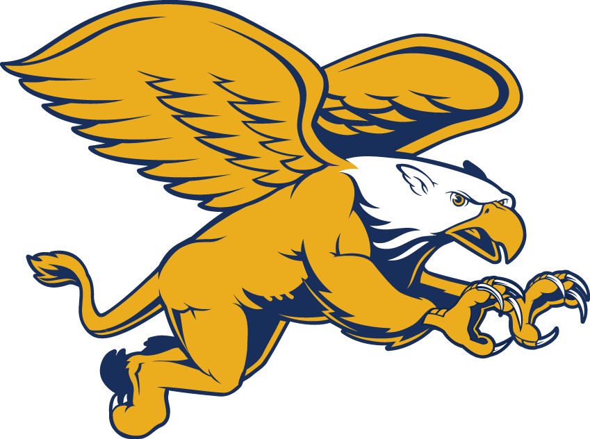 Canisius Golden Griffins 2006-Pres Secondary Logo v2 iron on transfers for clothing